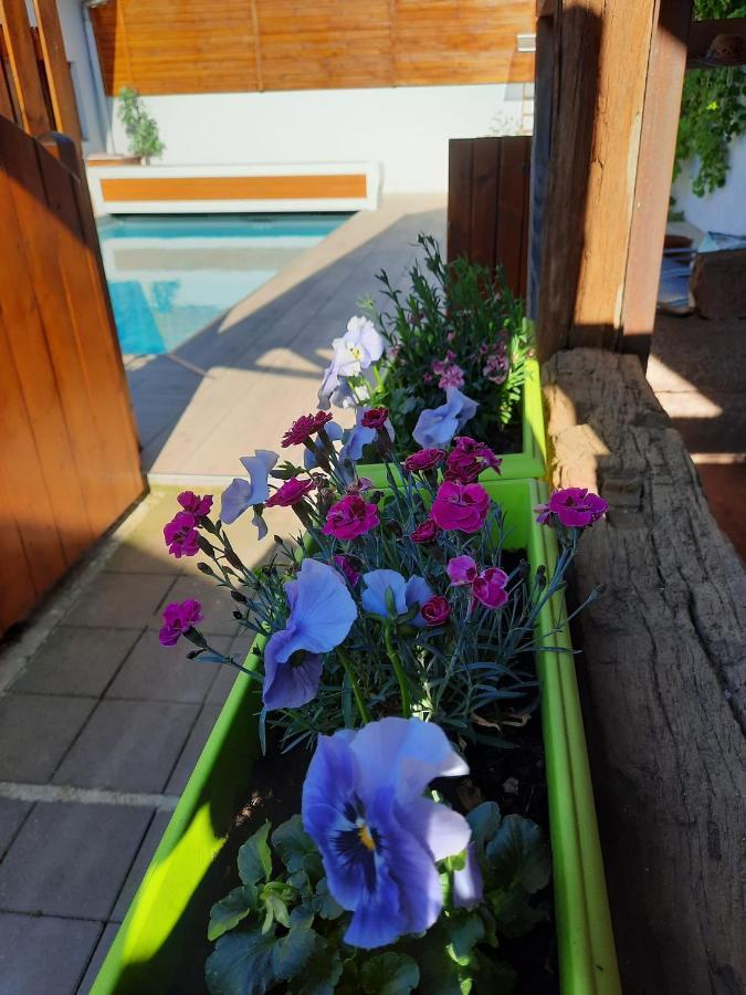 Oasis D'Alsace Villa Valff Dış mekan fotoğraf